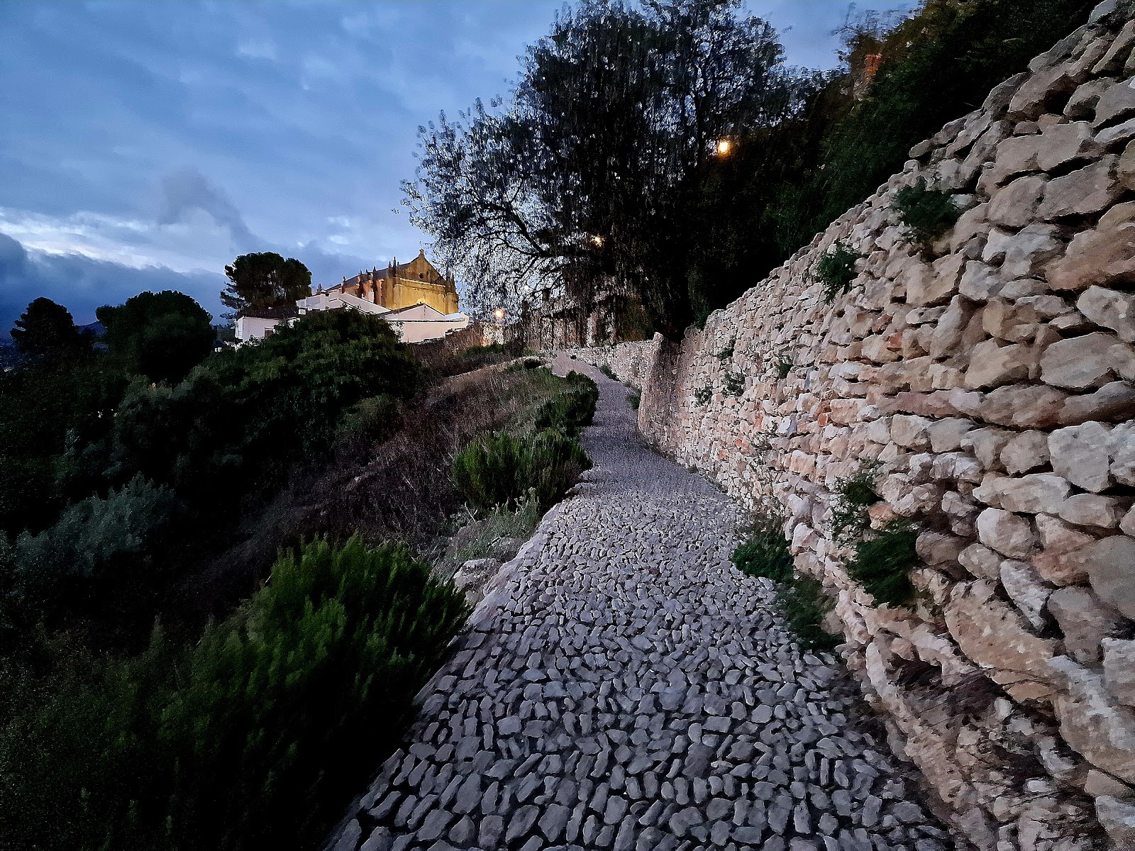 Excursion Ronda + villages blancs (journée Malaga) — Road trip
