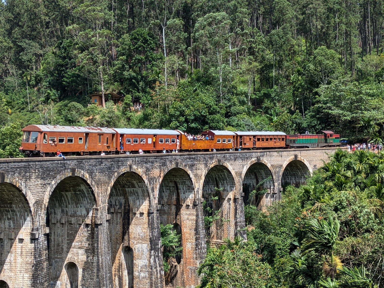 Train à travers les plantations de thé du Sri Lanka