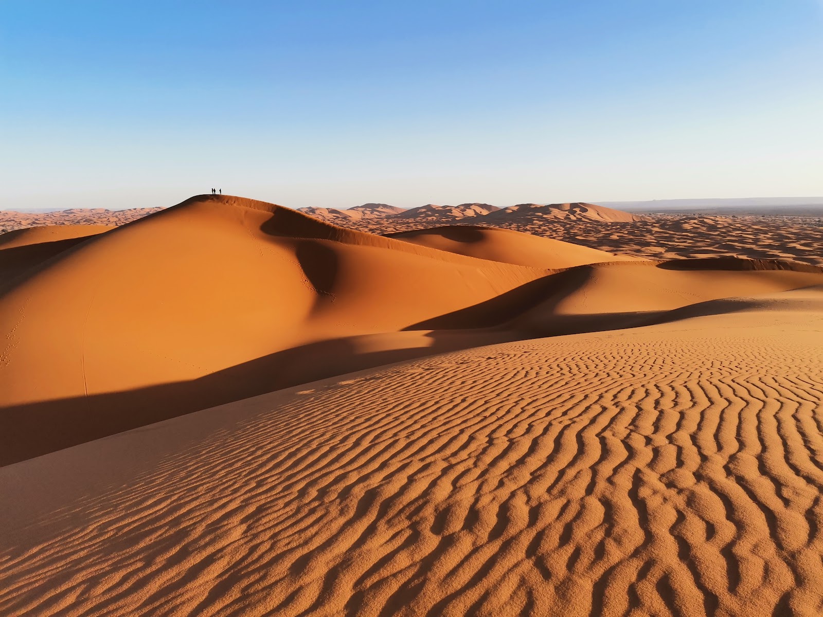 Dromadaires et dunes de sable dans le désert de Merzouga au coucher du soleil