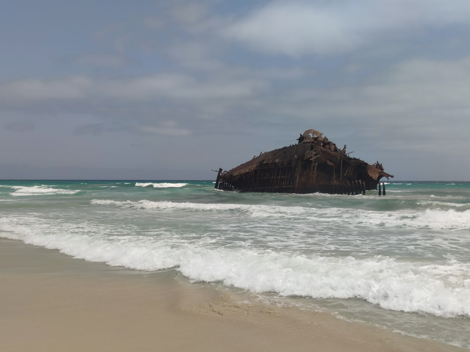 Tortue caouanne sur la plage de Boa Vista, Cap-Vert
