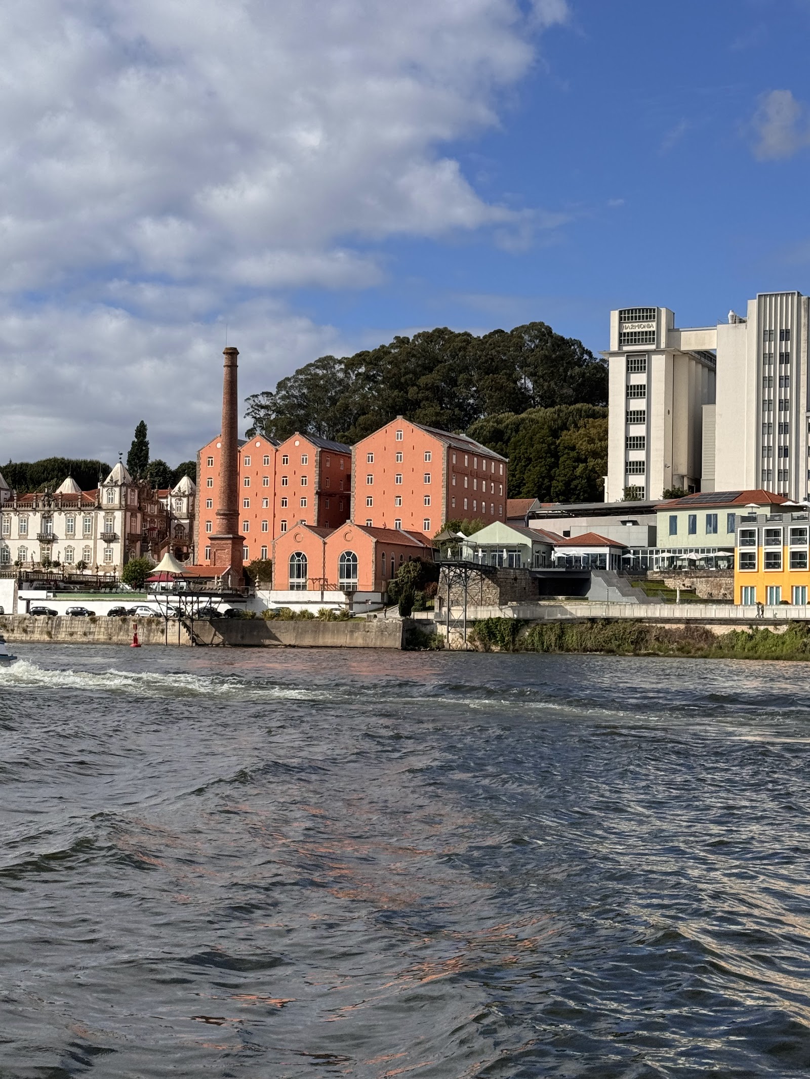 Bateau rabelo sur le Douro avec terrasses viticoles