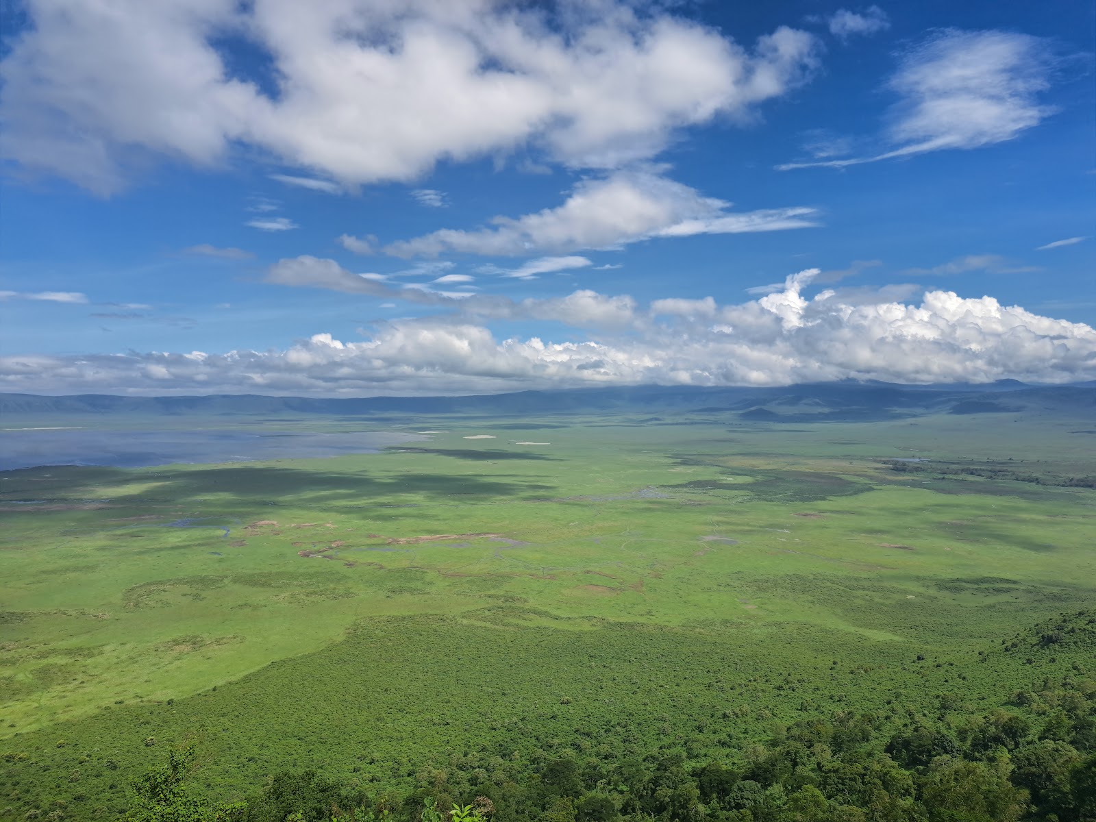 Game drive dans le cratère du Ngorongoro avec faune sauvage, Tanzanie