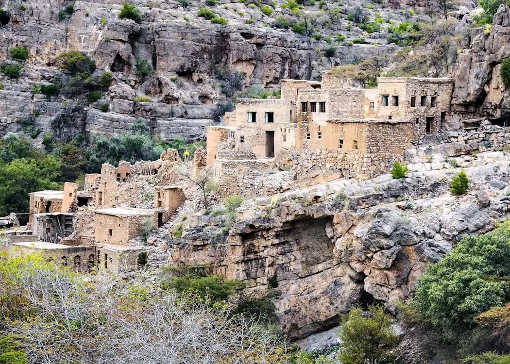 Terrasses de roses au Jebel Akhdar en avril, Oman