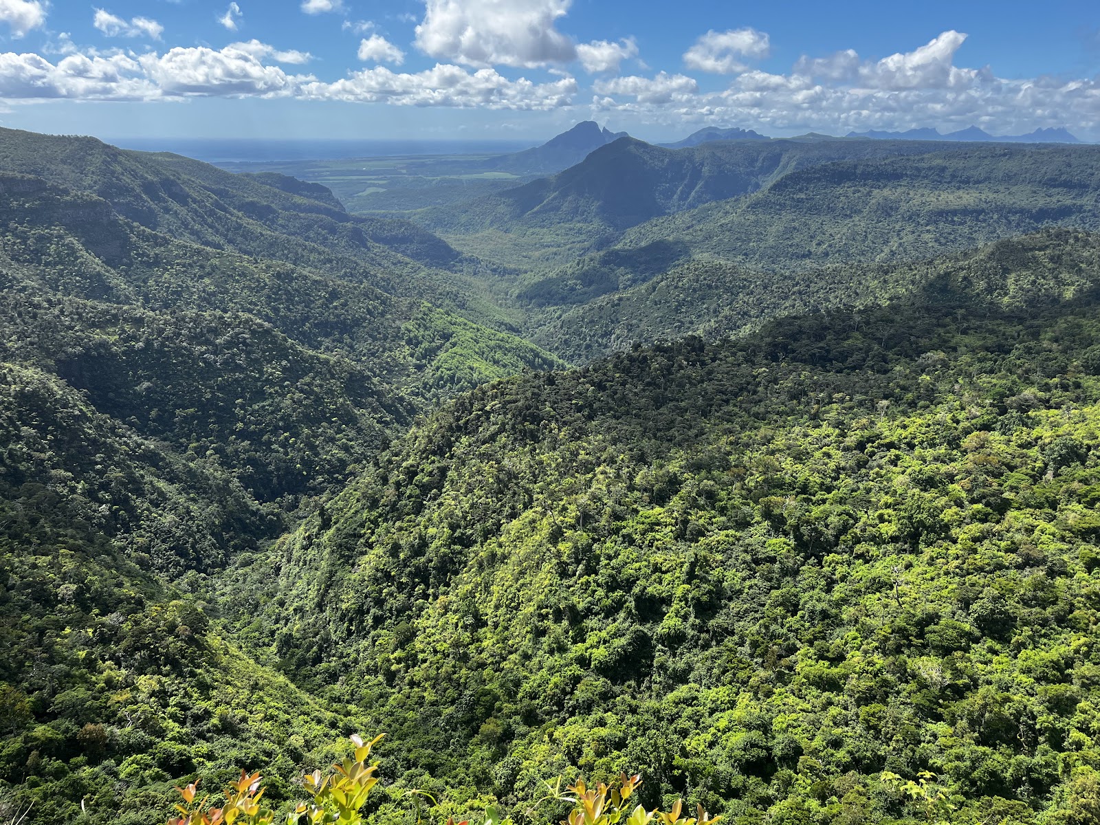 Cascades de Tamarin dans le parc Black River