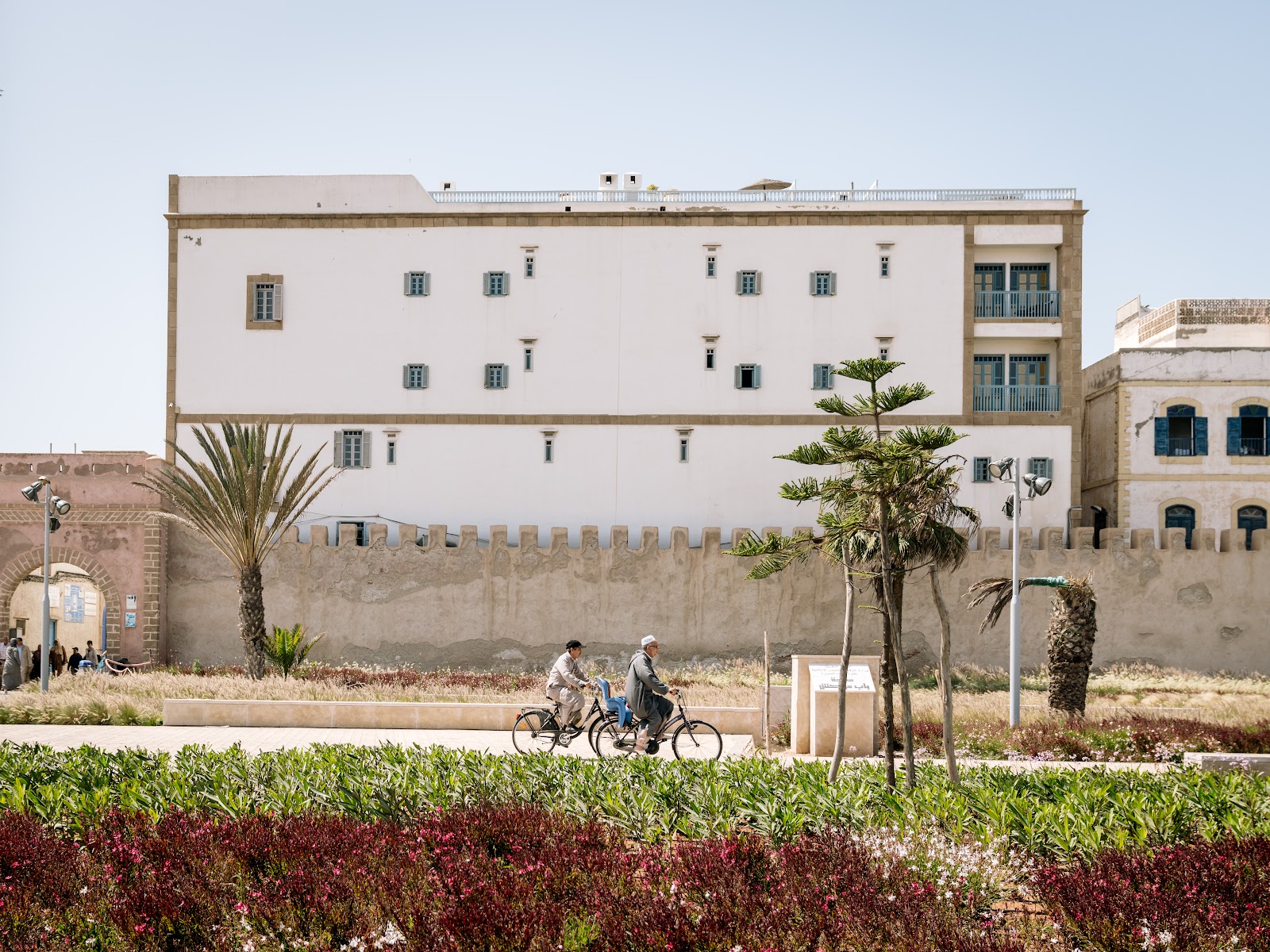 Terrasse rooftop à Essaouira avec vue sur le port et l'océan Atlantique